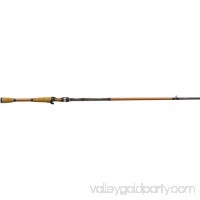 Berkley Lightning Rod Shock Casting Rod   552099365